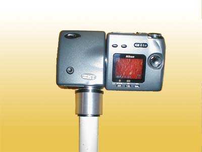 Nikon Coolpix 2000 on Also Wurde Die Kamera Gegen Eine Nikon Coolpix 990 Ausgetauscht